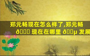 郑元畅现在怎么样了,郑元畅 🐟 现在在哪里 🌵 发展